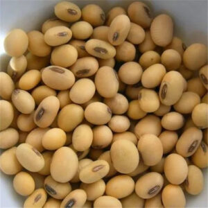 Pahadi Soyabean ( सोयाबीन ) / 1Kg